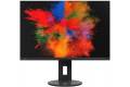 Fujitsu 24" P2410 WS