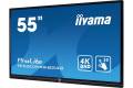 iiyama ProLite
