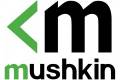 Mushkin 64GB (2x32GB) Redline Notebook