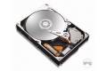 Fujitsu -Siemens HD/250GB SATA300 7200rpm