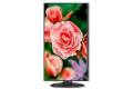 NEC Display MultiSync E273F-BK 27' Full HD LED LCD Monitor
