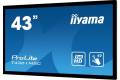 iiyama 43" Skjermer ProLite T4361MSC-B1