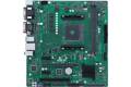 Asus A520M-C II/CSM Desktop