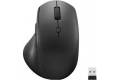Lenovo 600 Wireless Media mouse Right-hand RF Wireless Optical...