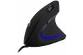 Inter-Tech KM-206WR mouse Office Right-hand USB Type-A Optical 2400 DP