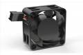 Blacknoise BlackSilent Pro PM-1