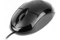Tracer TRAMYS45906 mouse USB Type-A Optical 800 DPI Right-hand