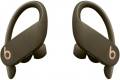 Apple Beats Powerbeats Pro