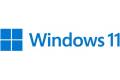 Microsoft Windows 11 Pro for Workstations 1 license(s)