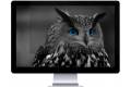 Natec OWL