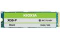 Kioxia XG6-P Series