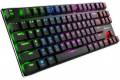 Sharkoon PureWriter TKL RGB Blue keyboard Gaming USB QWERTY US English