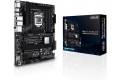 ASUS PRO WS W480-ACE hovedkort