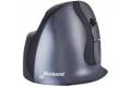 Evoluent VMDLW mouse Office Right-hand RF Wireless Laser