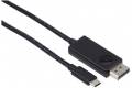 iiglo USB-C till DisplayPort-kabel 2m