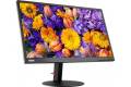 Lenovo 24" ThinkVision TE24-10