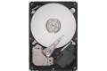 Seagate DB35.4 Series ST3250310CS