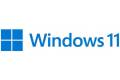 Microsoft Windows 11 Home 1 license(s)
