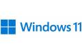 Windows 11 Home Svensk USB