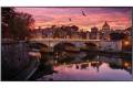 samsung Samsung QB75R Digital signage flat panel 189.2 cm (74.5") LED