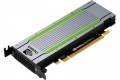 NVIDIA Tesla T4