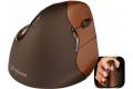 Evoluent Vertical Mouse 4 Small Wireless (Right)