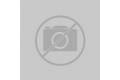 Swiftpoint ProPoint Mobile Mouse 3 Buttons Including Gesture Stylus Bluetooth 4.0 USB 2.4GHz