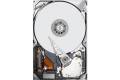 Dell Customer Kit