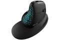 DeLUX Wireless Ergonomic Mouse M618XSD BT+2.4G RGB