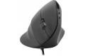 SPEEDLINK PIAVO mouse Office Right-hand USB Type-A Optical 2400 DPI