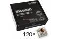 Glorious PC Kailh Gaming Race 120 Speed X120