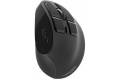Natec mouse Euphonie vertical wireless 2400DPI bla