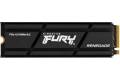 Kingston Fury Renegade 500gb Ssd Heatsink M.2 Pcie 4.0