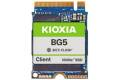 Kioxia BG5 Series KBG50ZNV1T02