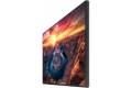 Samsung QM43B-T Digital signage flat panel 109.2 cm (43") LCD Wi