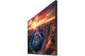 Samsung QM65B Digital signage flat panel 165.1 cm (65") VA Wi-Fi
