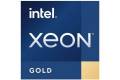 Intel Xeon Gold 6458Q OEM