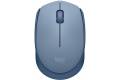 Logitech M171