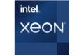 Intel Xeon