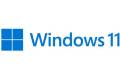 Microsoft Windows 11 Pro 1 licens(er)