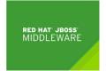JBoss Enterprise Application Platform with Management