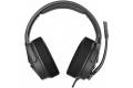 GXT 4371 Ward