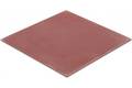 Thermal Grizzly TG-MPE-100-100-10
