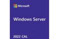 Microsoft Rights Management Services 2022 User CAL DG7GMGF0D5SL:0002 (CSP)