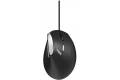 Rapoo Ev200 Ergonomic Optical Mouse