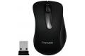 Canyon CNE-CMSW2 Black Mouse