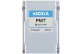 Kioxia PM7-R Series KPM71RUG3T84
