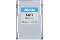 Kioxia CM7-R Series 3,84TB