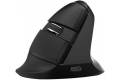 DeLUX Wireless Vertical Mouse Delux M618Mini BT+2.4G RGB 4000DPI (Iron Gray)