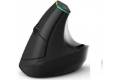 DeLUX Wireless Vertical Mouse Delux M618C 2.4G 1600DPI RGB (white)